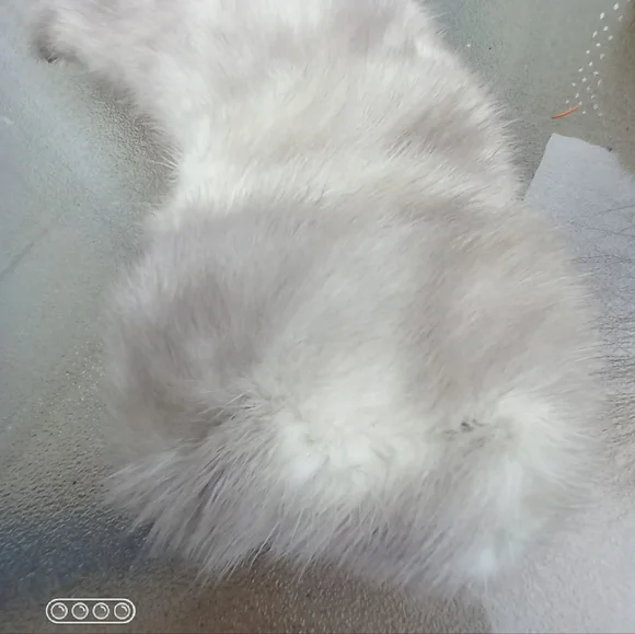 Fur Collar Silver Short 50's - Picture 4 of 5